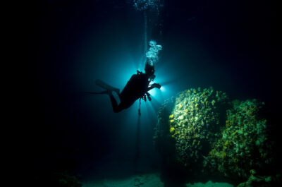 Great Barrier Reef Night Diver