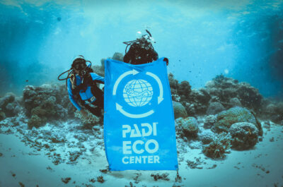 Divers Den Eco Centre Flag